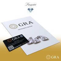 Celeste Spark Moissanite Oorbellen