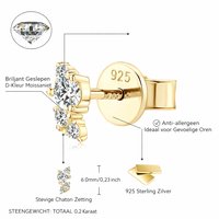 Celeste Spark Moissanite Oorbellen