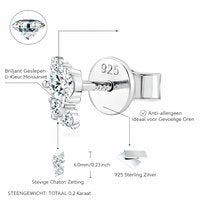 Celeste Spark Moissanite Oorbellen